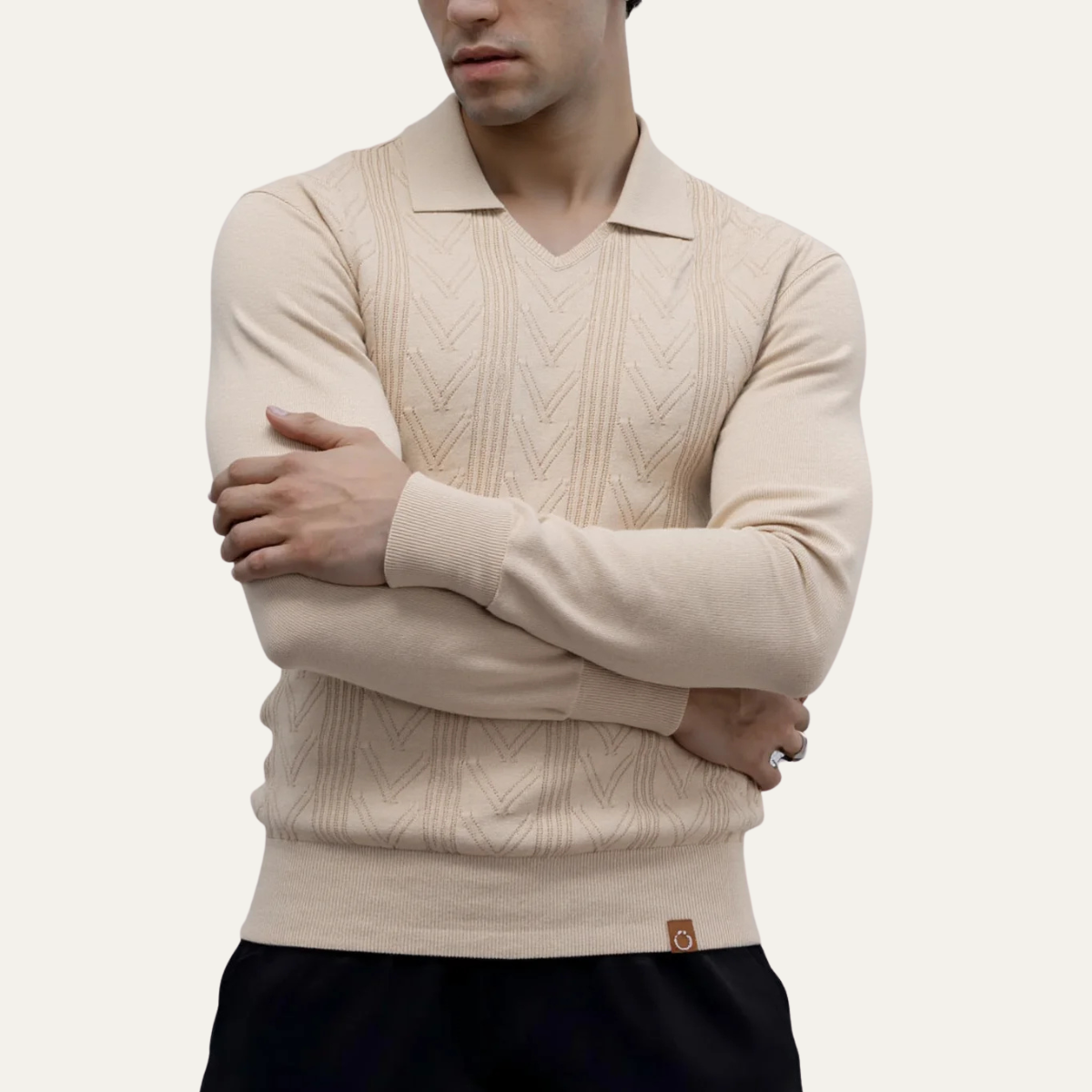 The Pembroke Men's Slim Fit V Neck Polo Knitted Jumper